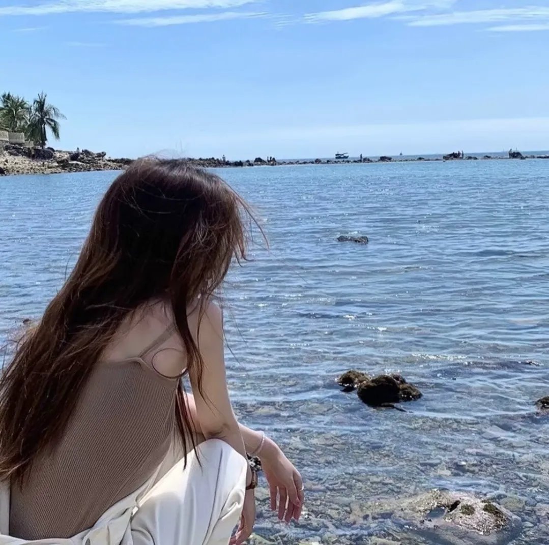 大使的宝藏家宴