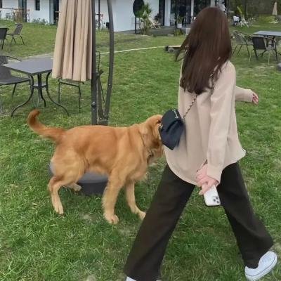 空中救护第二季